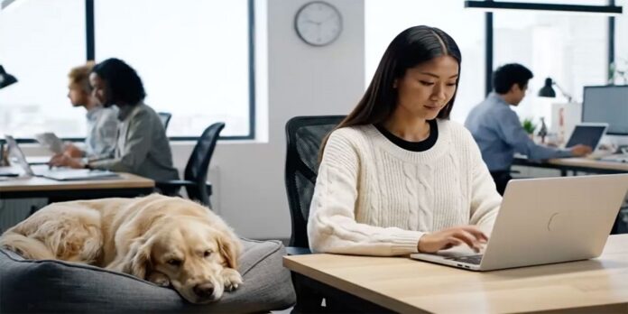 Pinterest advertising services